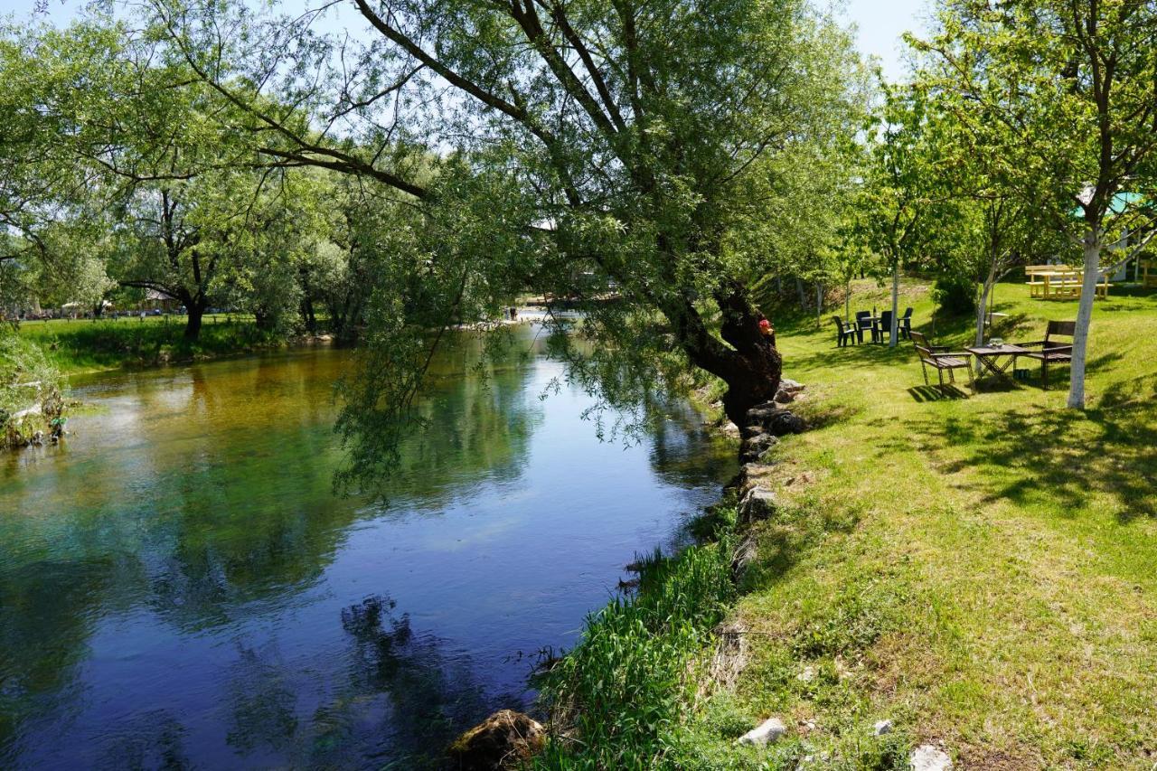 Apartments Manitovac M Нікшич Екстер'єр фото